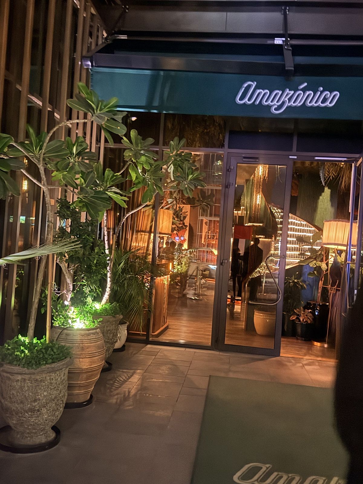 Amazónico Dubai — the rainforest room with live music