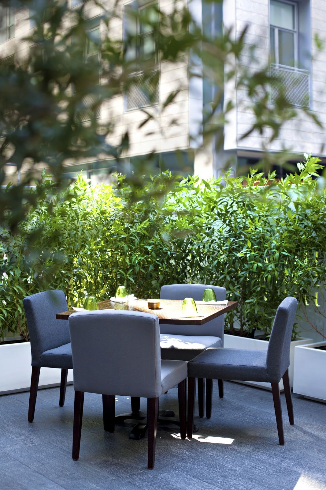 BOCA DIFC Dubai fine tapas restaurant
