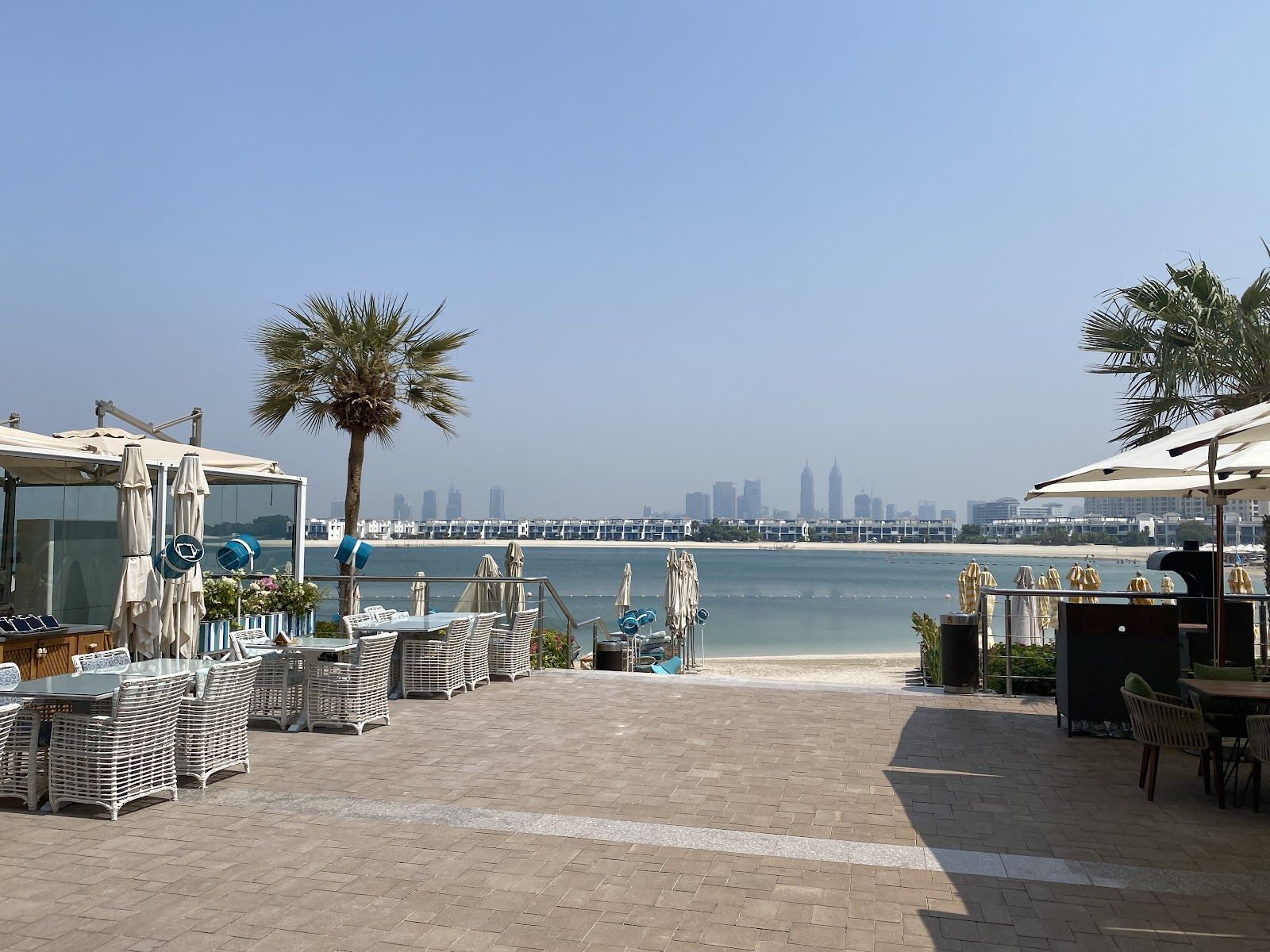 Lunch on the Palm