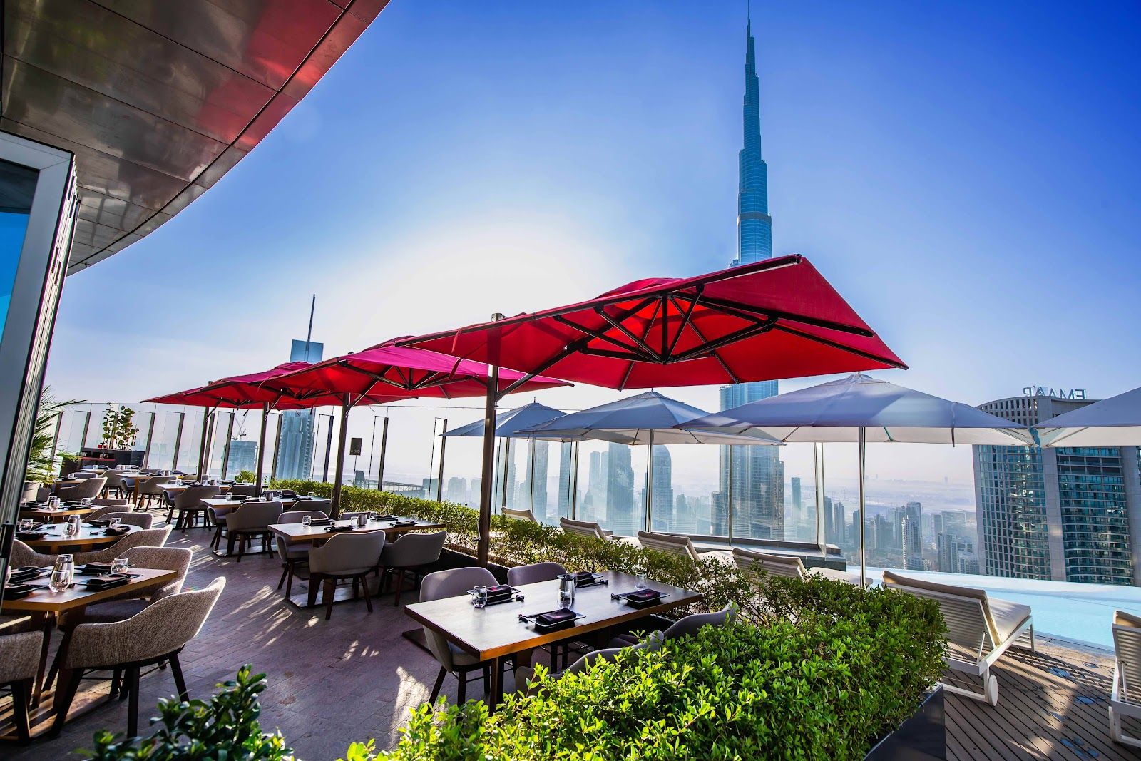 Peruvian restaurants — representative image for Dubai Food Blog | Expert Restaurant Guides & Reviews