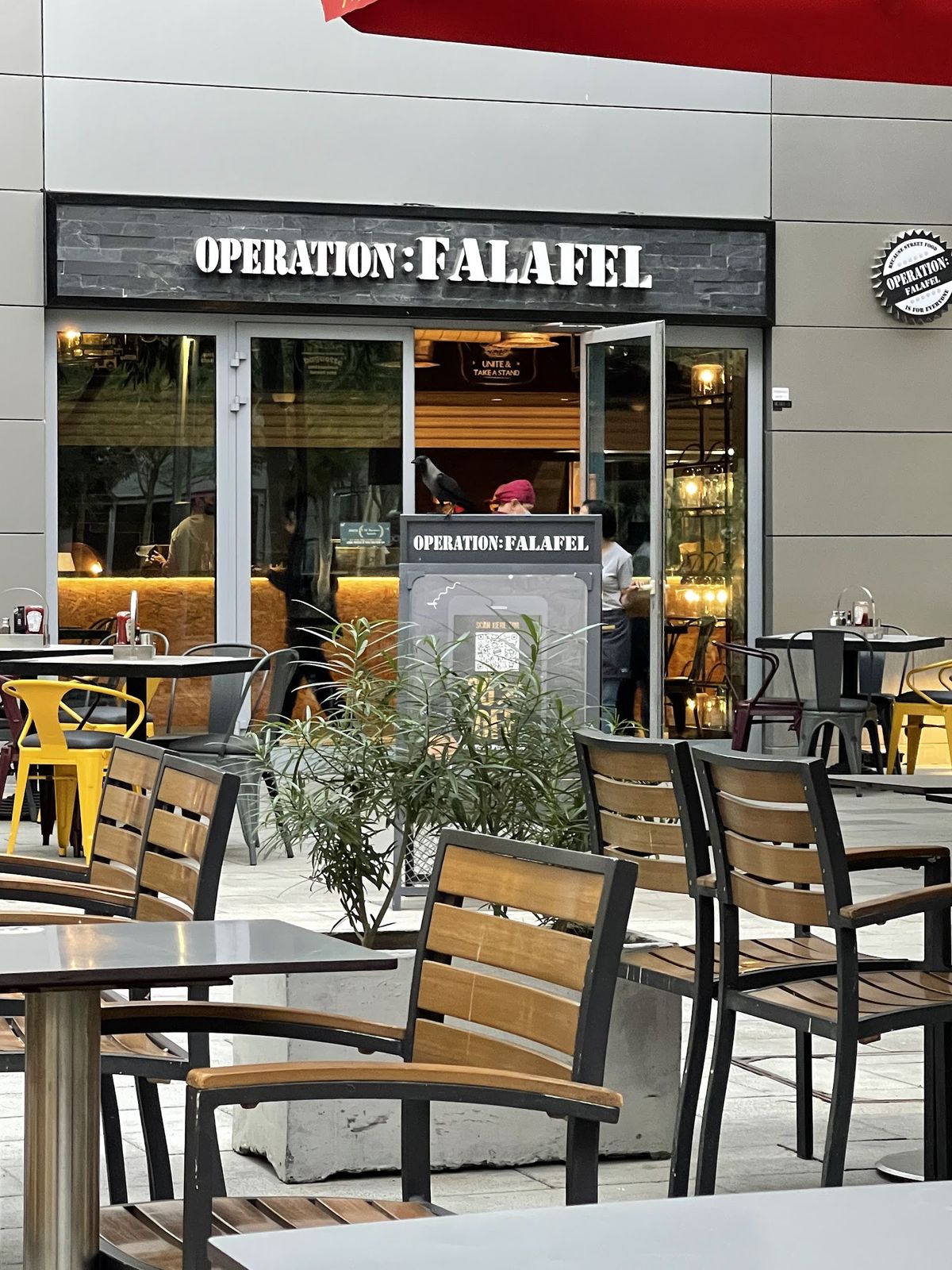Best Cheap Eats in Downtown Dubai