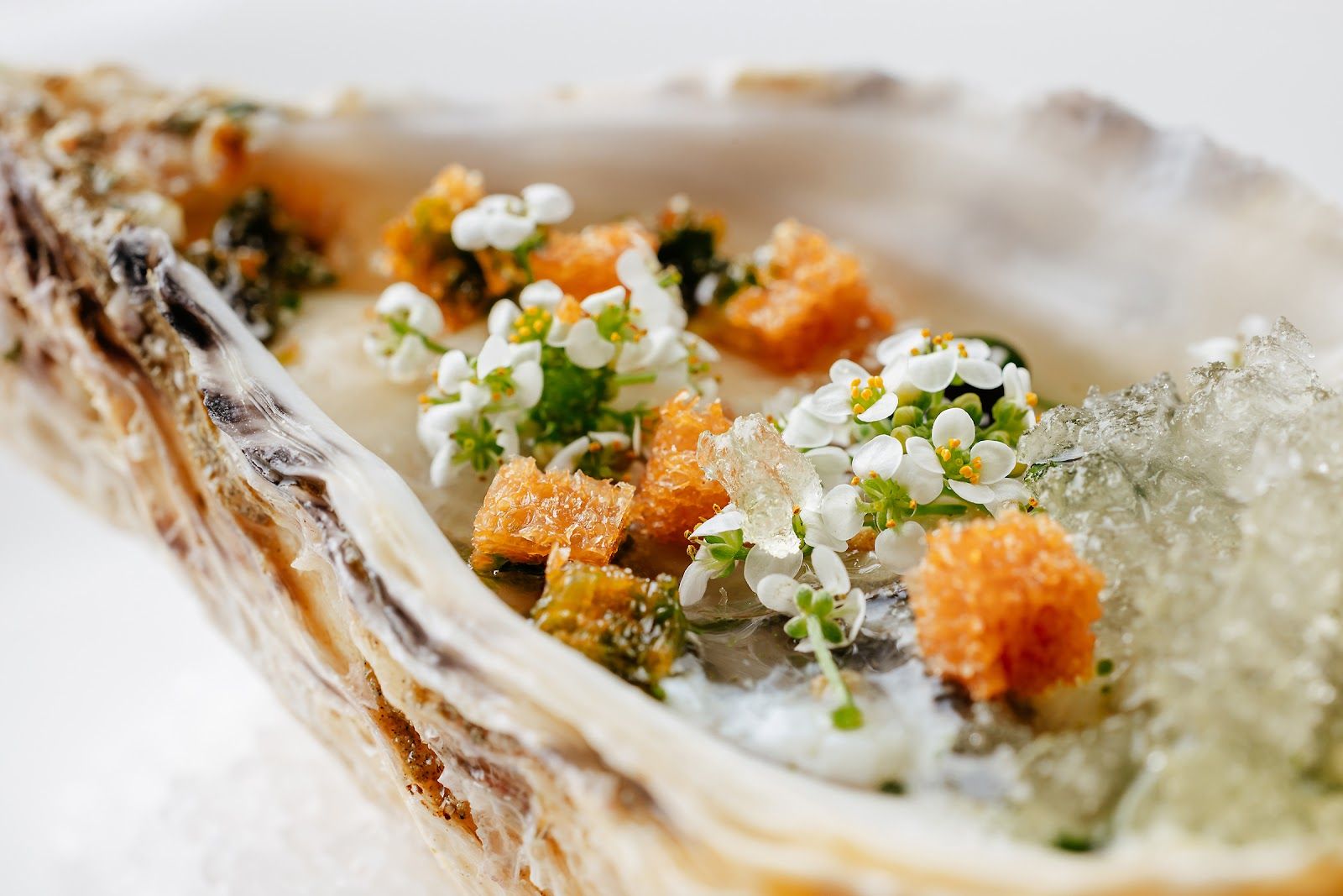 Stay by Yannick Alleno Veal Sweetbreads, Black Truffle