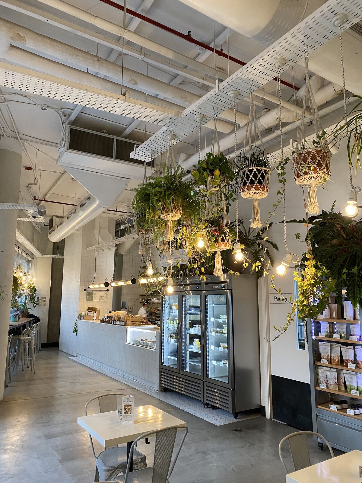 Wild & The Moon Dubai — plant-based bowls and cold-pressed juices